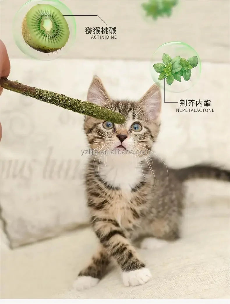 6pcs Natural Matatabi Mint Cat Stick