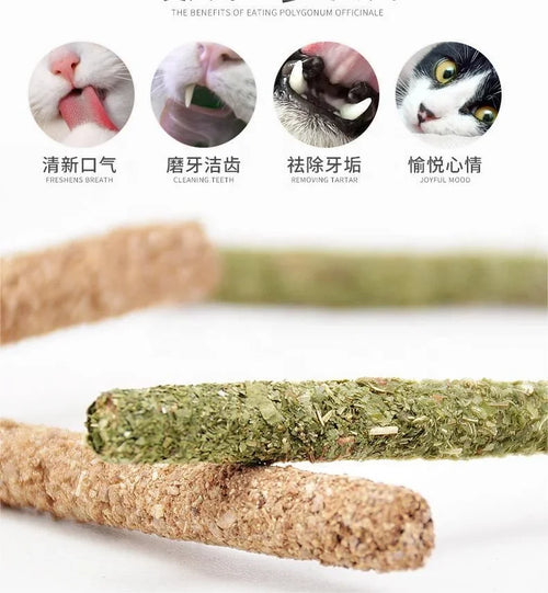 6pcs Natural Matatabi Mint Cat Stick