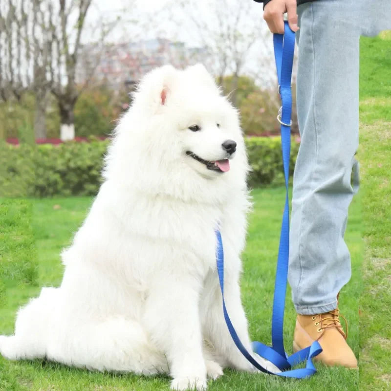 Hands Free Dogs Leash