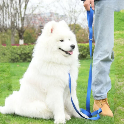 Hands Free Dogs Leash