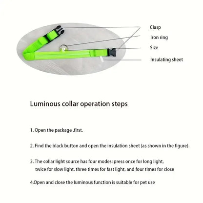 LED Night Safety Flashing Glow In The Dark Dog Collar