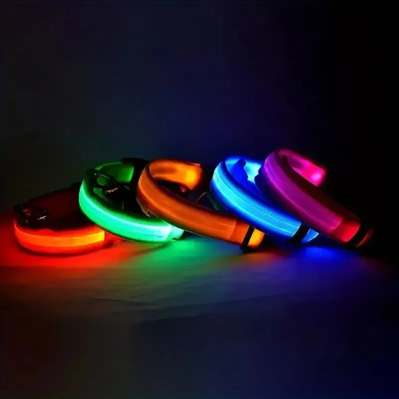 LED Night Safety Flashing Glow In The Dark Dog Collar