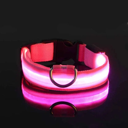 LED Night Safety Flashing Glow In The Dark Dog Collar