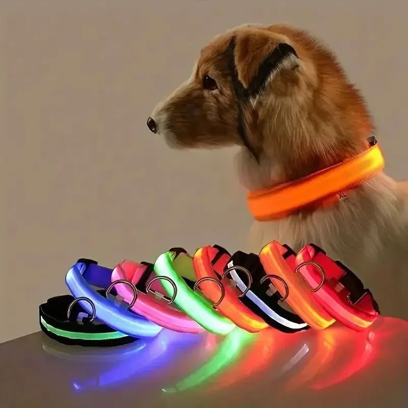 LED Night Safety Flashing Glow In The Dark Dog Collar