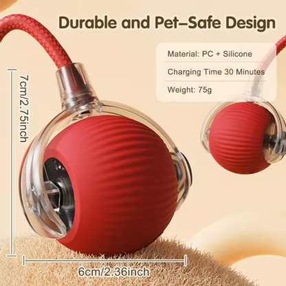 Intelligent Interactive Pet Toy