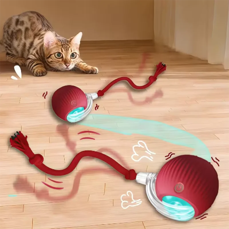 Intelligent Interactive Pet Toy