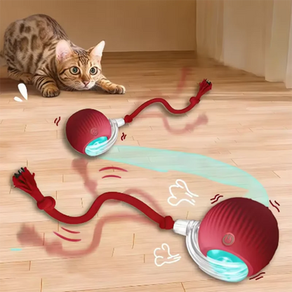 Intelligent Interactive Pet Toy