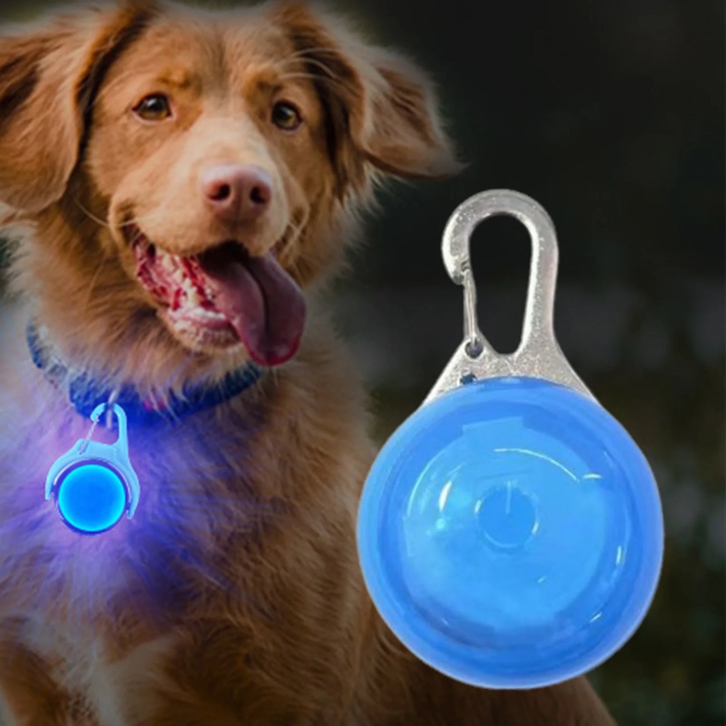 Glowing Pet Collar for Night Safety