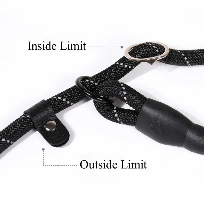 Strong Dog Leash