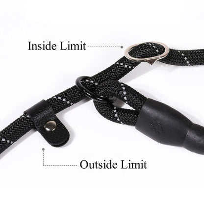 Strong Dog Leash