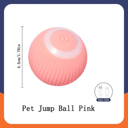 Smart Ball: Electronic Interactive Pet Toy