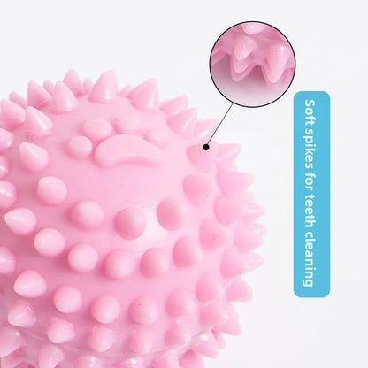 Teeth Cleaning Durable Pet Toys