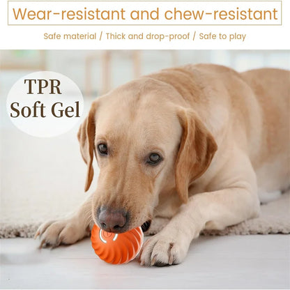 Smart Ball: Electronic Interactive Pet Toy