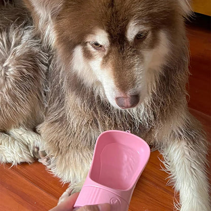 Portable Water Bottle
