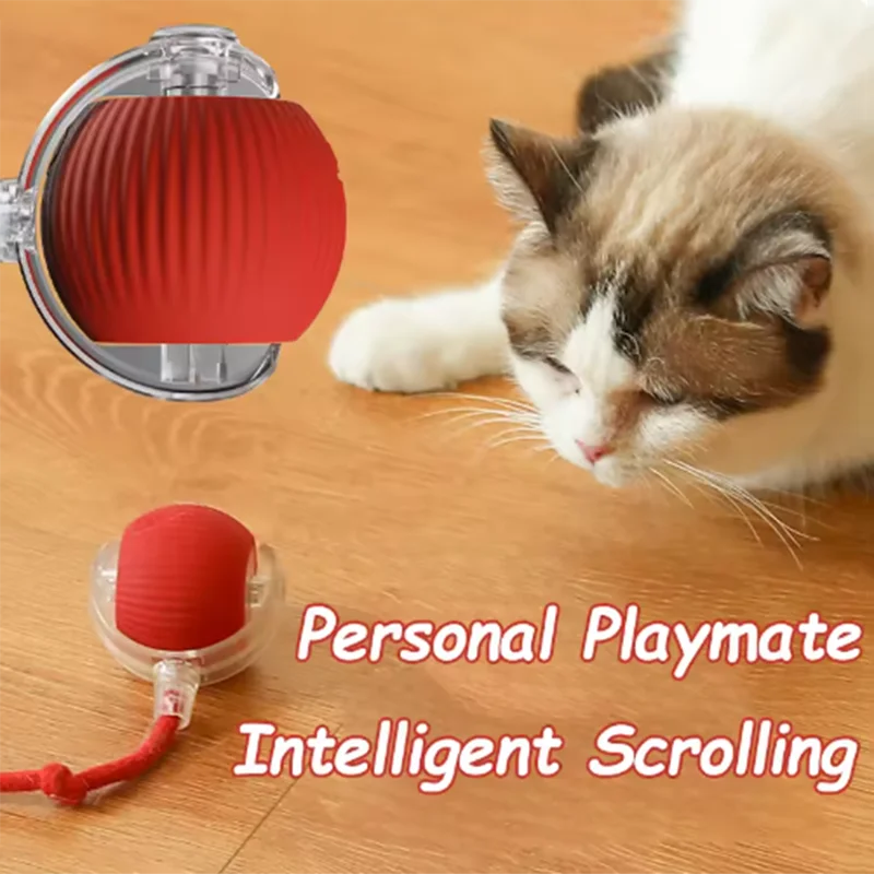 Intelligent Interactive Pet Toy