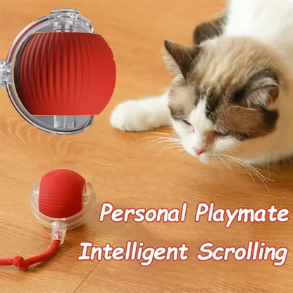 Intelligent Interactive Pet Toy