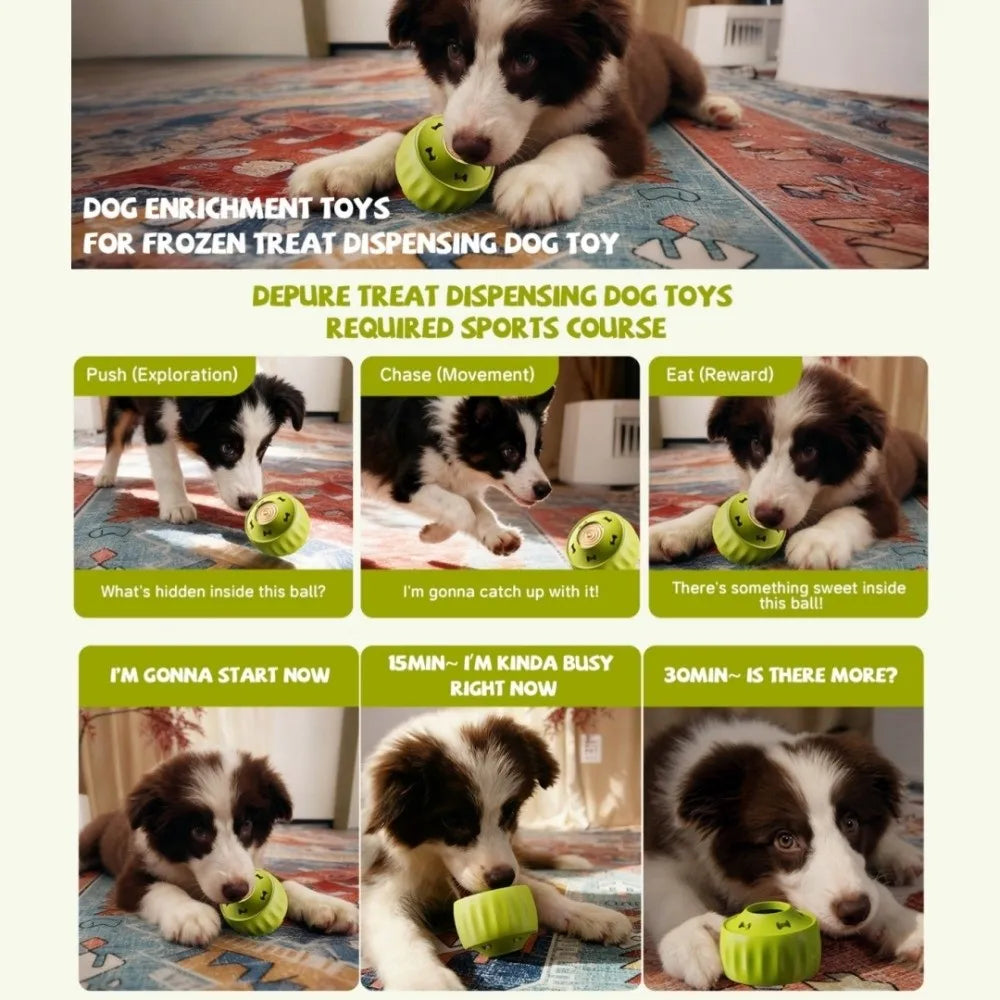 2-grid Food Mold for Pets