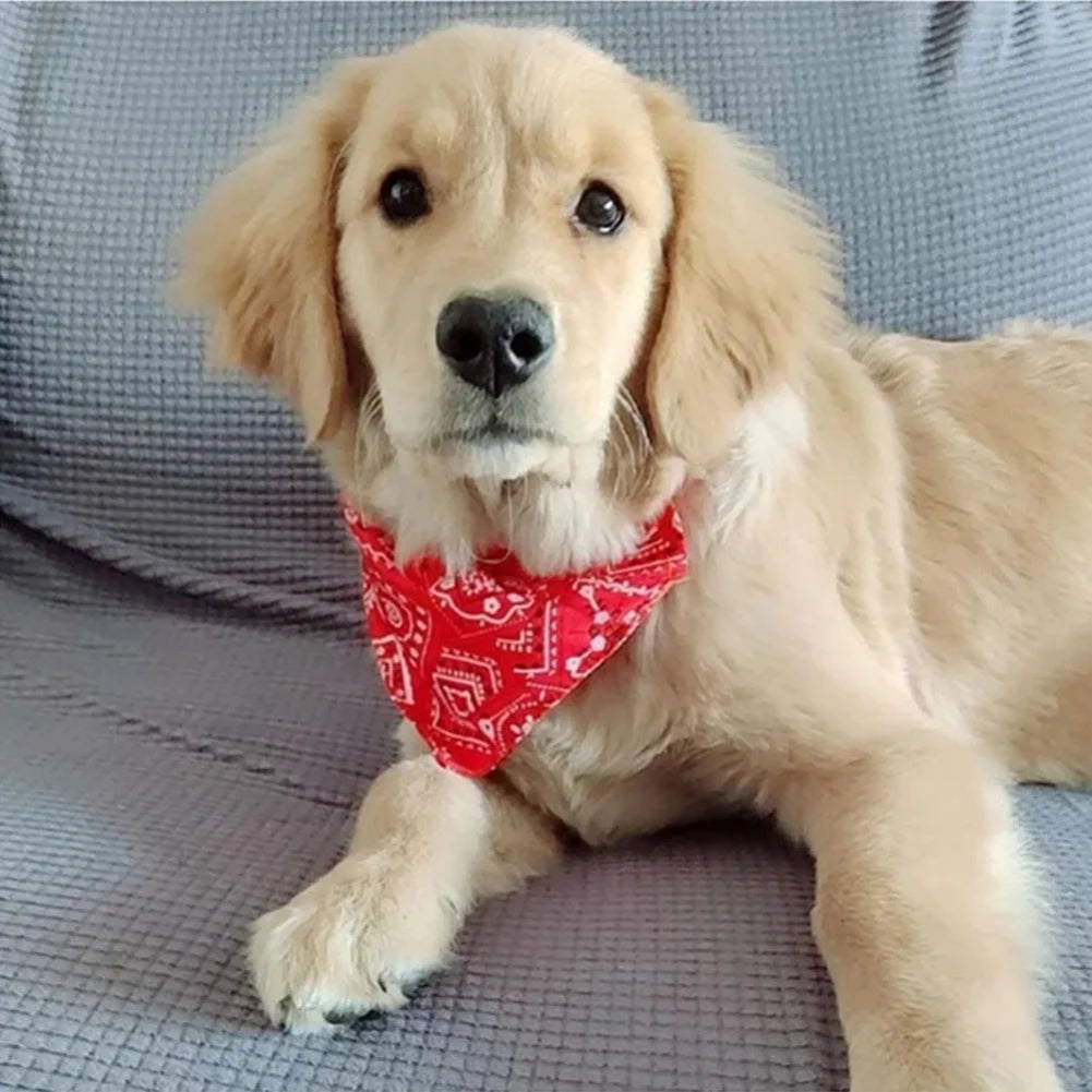 Bandana Scarf Collar