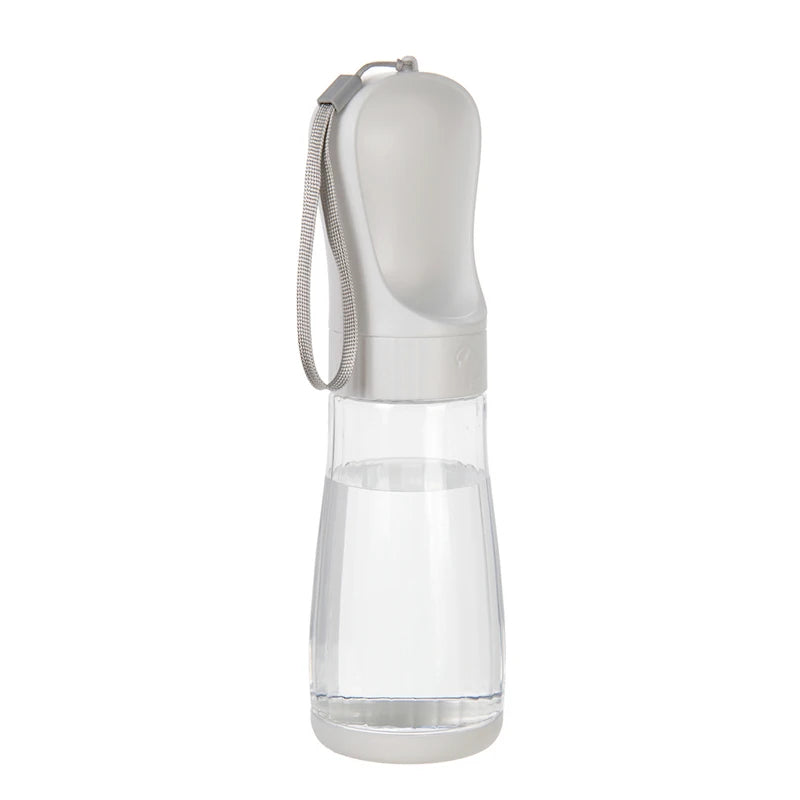 Portable Water Bottle
