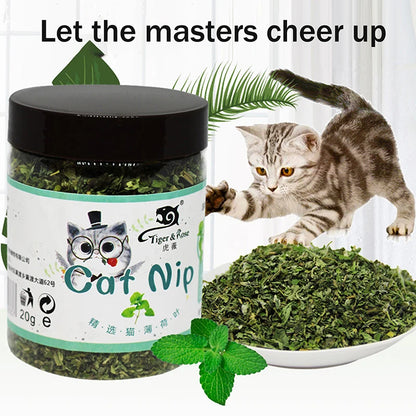 Organic 100% Natural High Quality Catnip