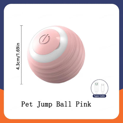 Smart Ball: Electronic Interactive Pet Toy