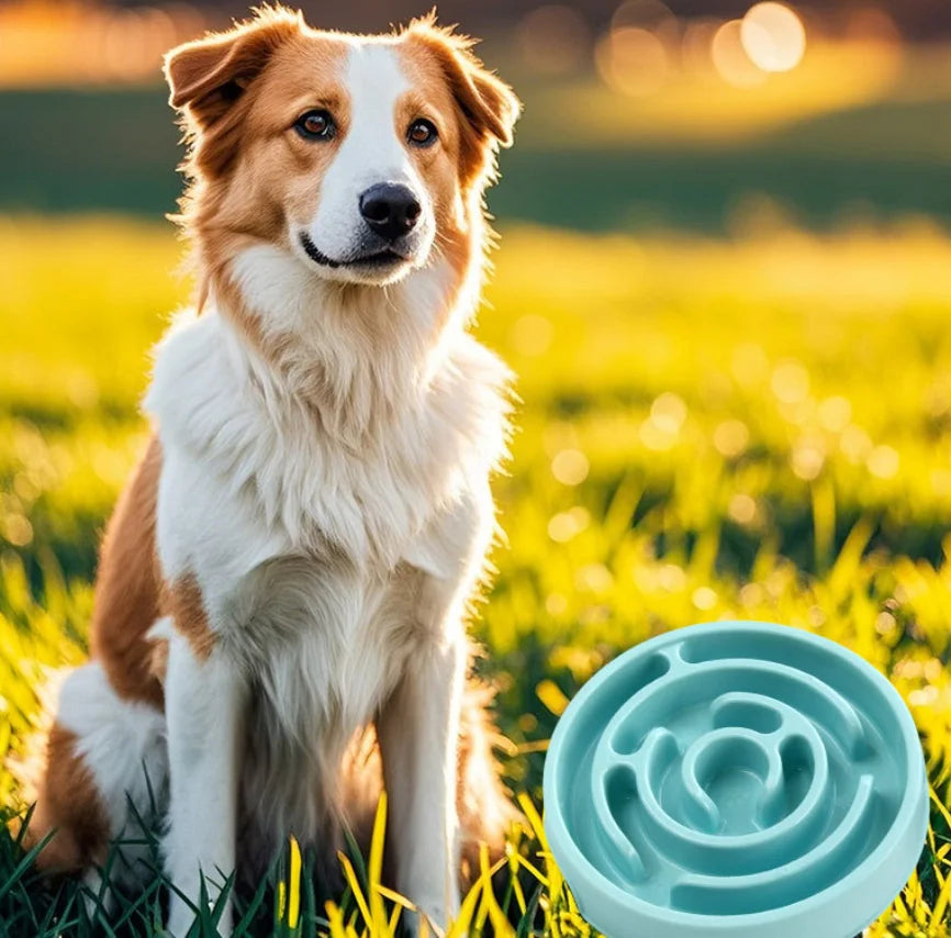 Slow Feeder Food Bowl - Non-Slip Interactive Maze Bowl for Dogs & Cats, Prevents Bloat & Choking, Healthy Eating Design