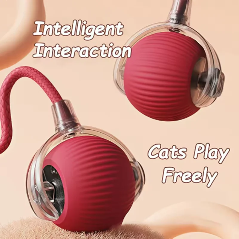 Intelligent Interactive Pet Toy