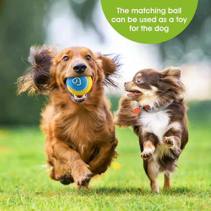 Pet Ball Throwing Stick