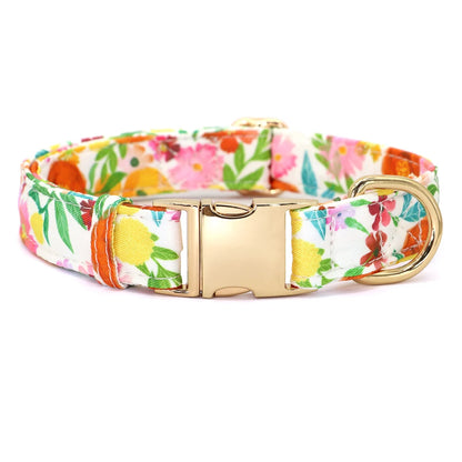 Spring Adjustable Nylon Pet Collar